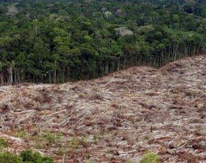 Imagen de una tala ilegal en la amazonía brasileña. EFE/ARCHIVO/Marcelo Sayão