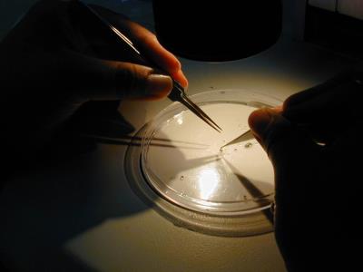 Imagen de archivo de un laboratorio. EFE.