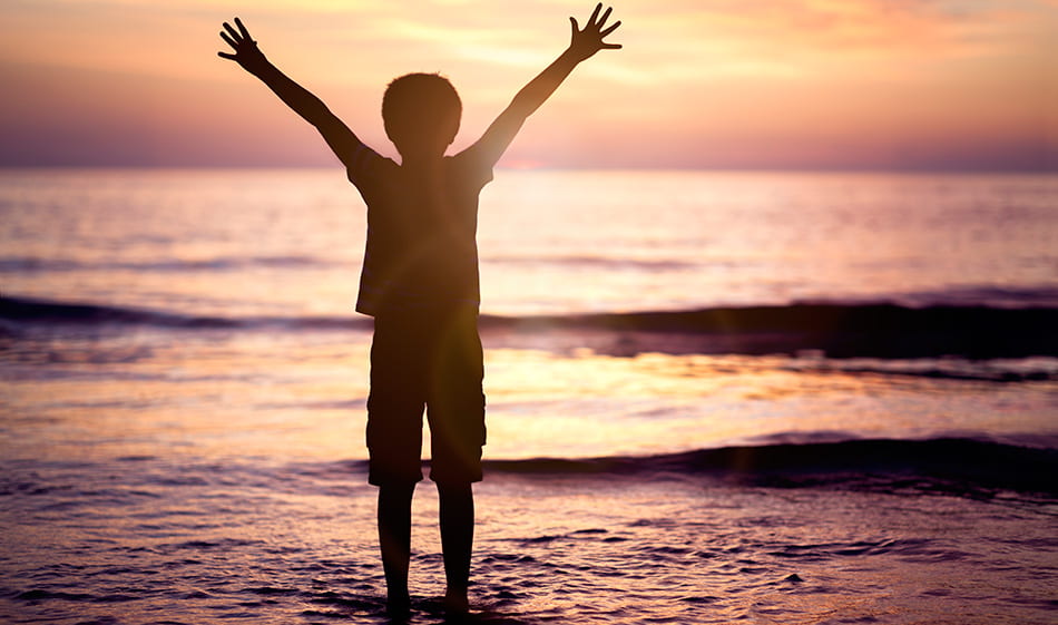 El Poder de la Gratitud: Transforma tu Vida con Apreciación